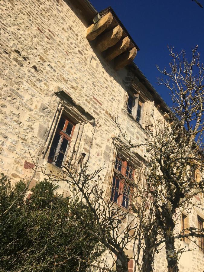Le Château de Lunel Saint-Félix-de-Lunel Exterior foto